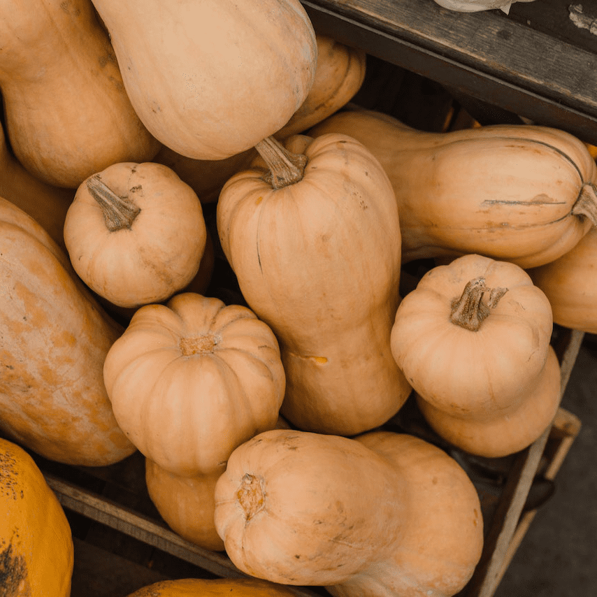 butternut squash in a crate at the Kelowna Farmers Market, a key ingredient in Curried Butternut Squash Bisque